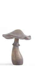Load image into Gallery viewer, WSHD BRWN MUSHROOM
