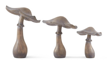 Load image into Gallery viewer, WSHD BRWN MUSHROOM
