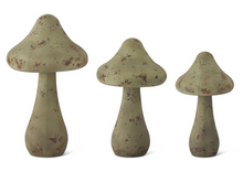 Load image into Gallery viewer, WTHRD GRN MTL MUSHROOM
