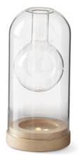 Load image into Gallery viewer, GLS CLOCHE BUD VASE LED
