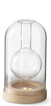 Load image into Gallery viewer, GLS CLOCHE BUD VASE LED
