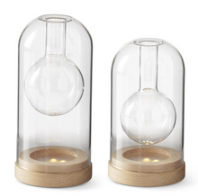 Load image into Gallery viewer, GLS CLOCHE BUD VASE LED
