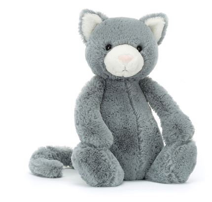 BASHFUL KITTEN