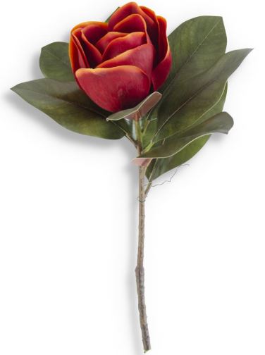 ORNG MAGNOLIA STEM