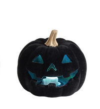 Load image into Gallery viewer, LED FLOCKED HALLOWEEN SITTR

