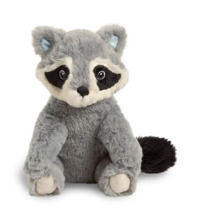 CHASING DRM RACOON