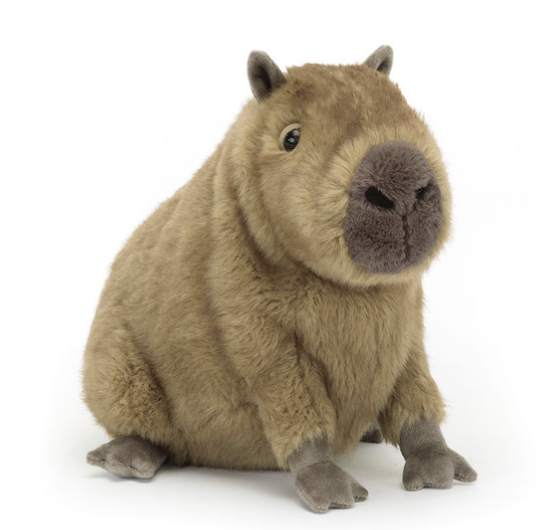 CLYDE CAPYBARA