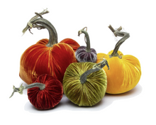 Load image into Gallery viewer, 6&quot; PUMPKIN
