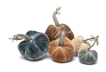Load image into Gallery viewer, 6&quot; PUMPKIN
