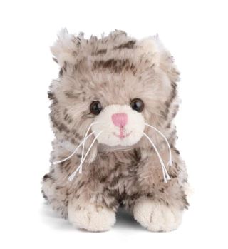 LITTLE MACIEK KITTY