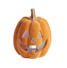 Load image into Gallery viewer, LED FLOCKED HALLOWEEN SITTR
