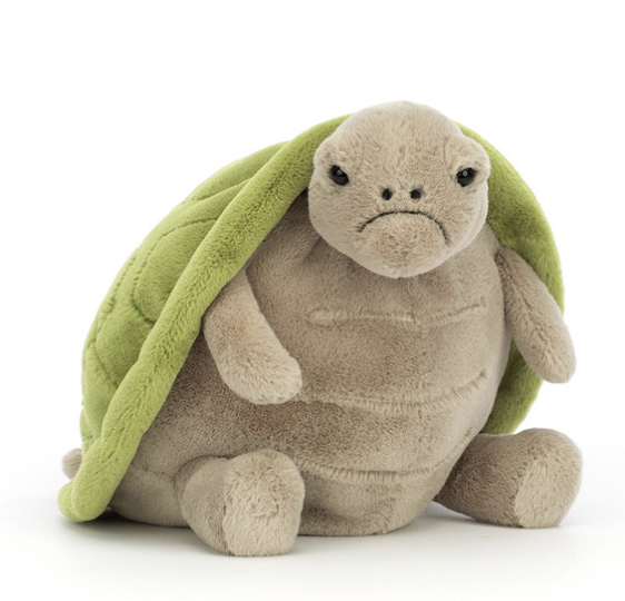 TIMMY TURTLE